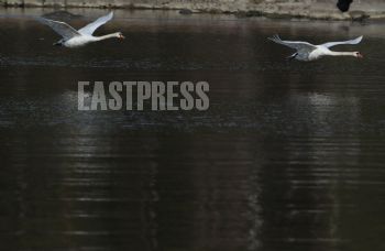 EA315262, Eastpress, Porvoo, Finland